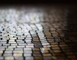 Inzicht in ‘verwarde personen’ West-Brabant