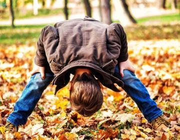 Robuuste inspiratie: Doe het anders in de wijk! Anders Denken Doen en Organiseren